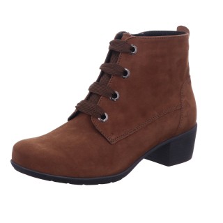 Solidus Kerry K braun 3,5